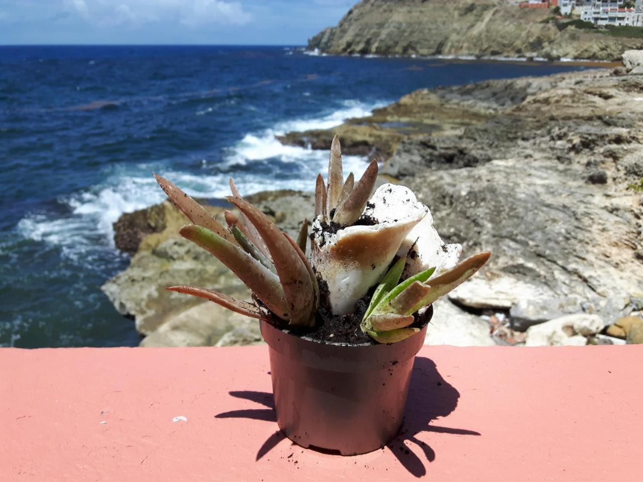 Ocean Shore Philipsburg  Exterior foto